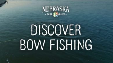 Bellevue’s American Heroes Park to host family Bow Fishing event