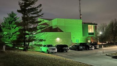 New Veterans Treatment Court to support Sarpy County military veterans New Veterans Treatment Court to support Sarpy County military veterans