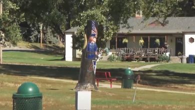 Bellevue pays unique tribute to first responders with tree carvings